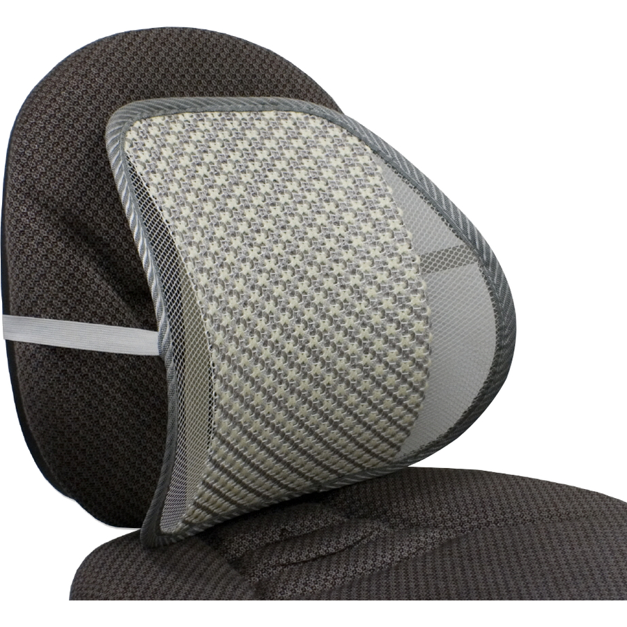 QVS Premium Ergonomic Lumbar Back Support with Woven Pad