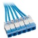 33FT COPQN TRNK CAT6 UTP RIS CASS BU STD