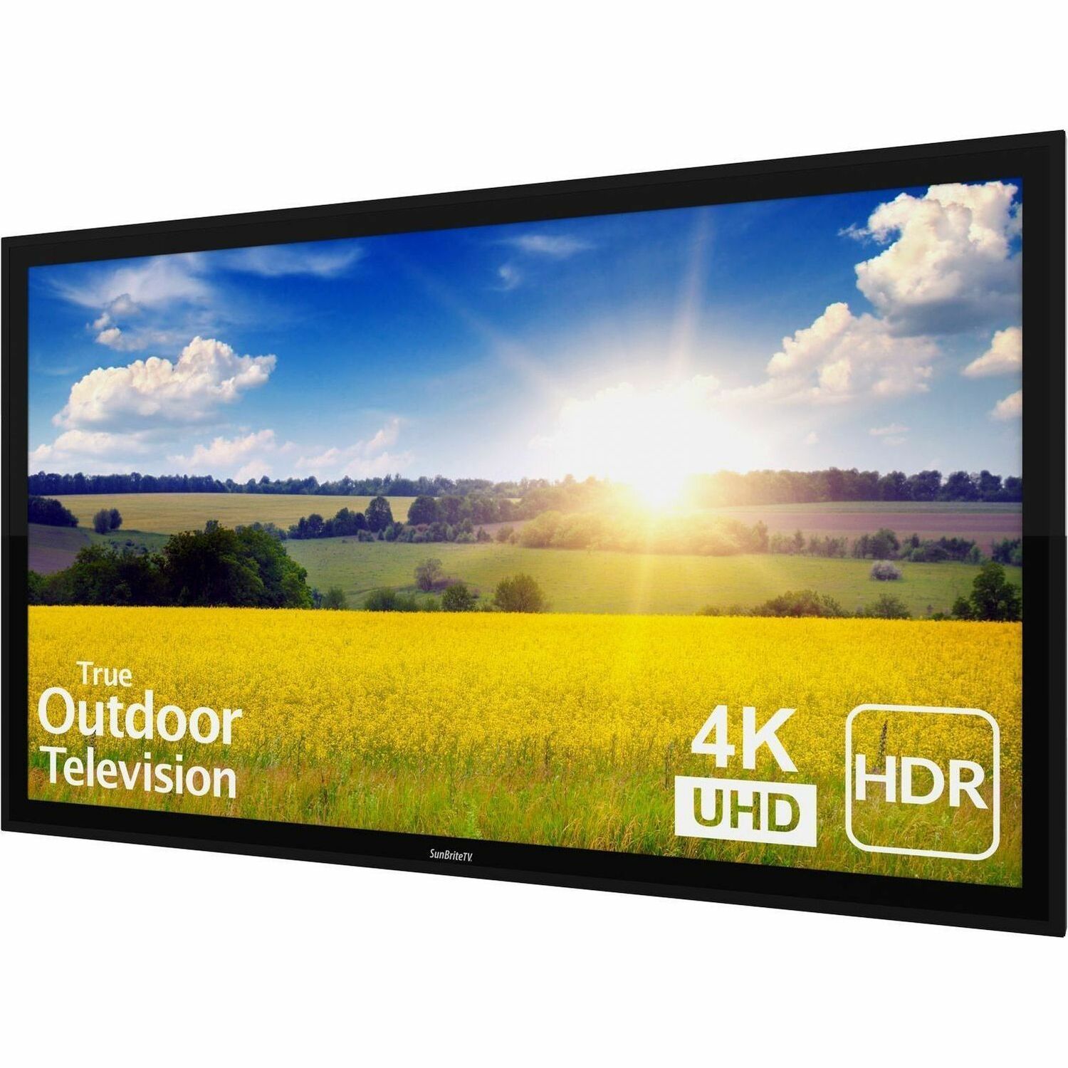 SunBriteTV Pro 2 SB-P2-49-4K 49" Smart LED-LCD TV - 4K UHDTV - High Dynamic Range (HDR) - Powder Coated Aluminum