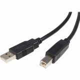 StarTech.com High Speed Certified USB 2.0 - USB cable - 4 pin USB Type A (M) - 4 pin USB Type B (M) - 3 m ( USB / Hi-Speed USB )