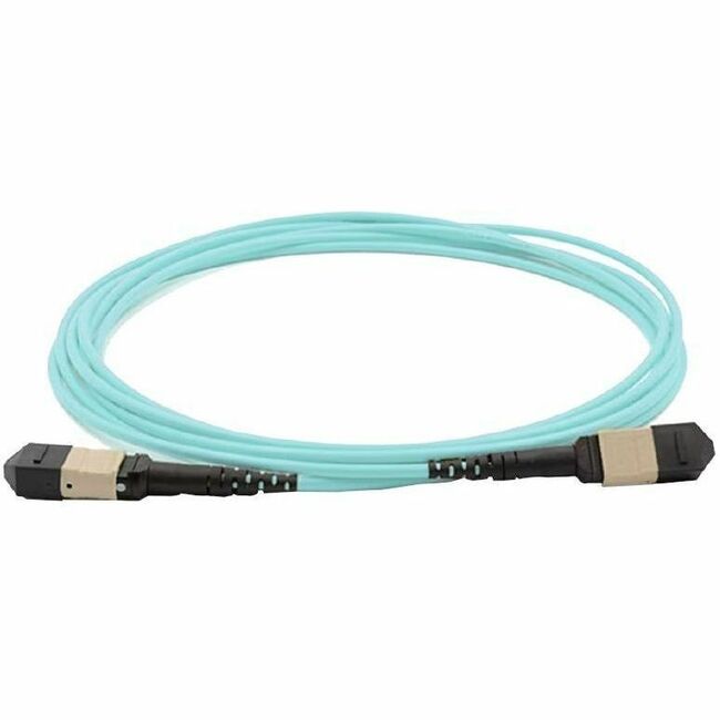 Cisco Fiber Optic Trunk Network Cable