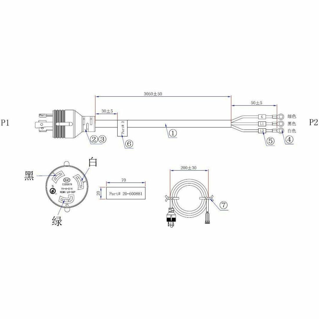 N1C Accessory N1C.LR-L63010 - L6-30P Input cable
