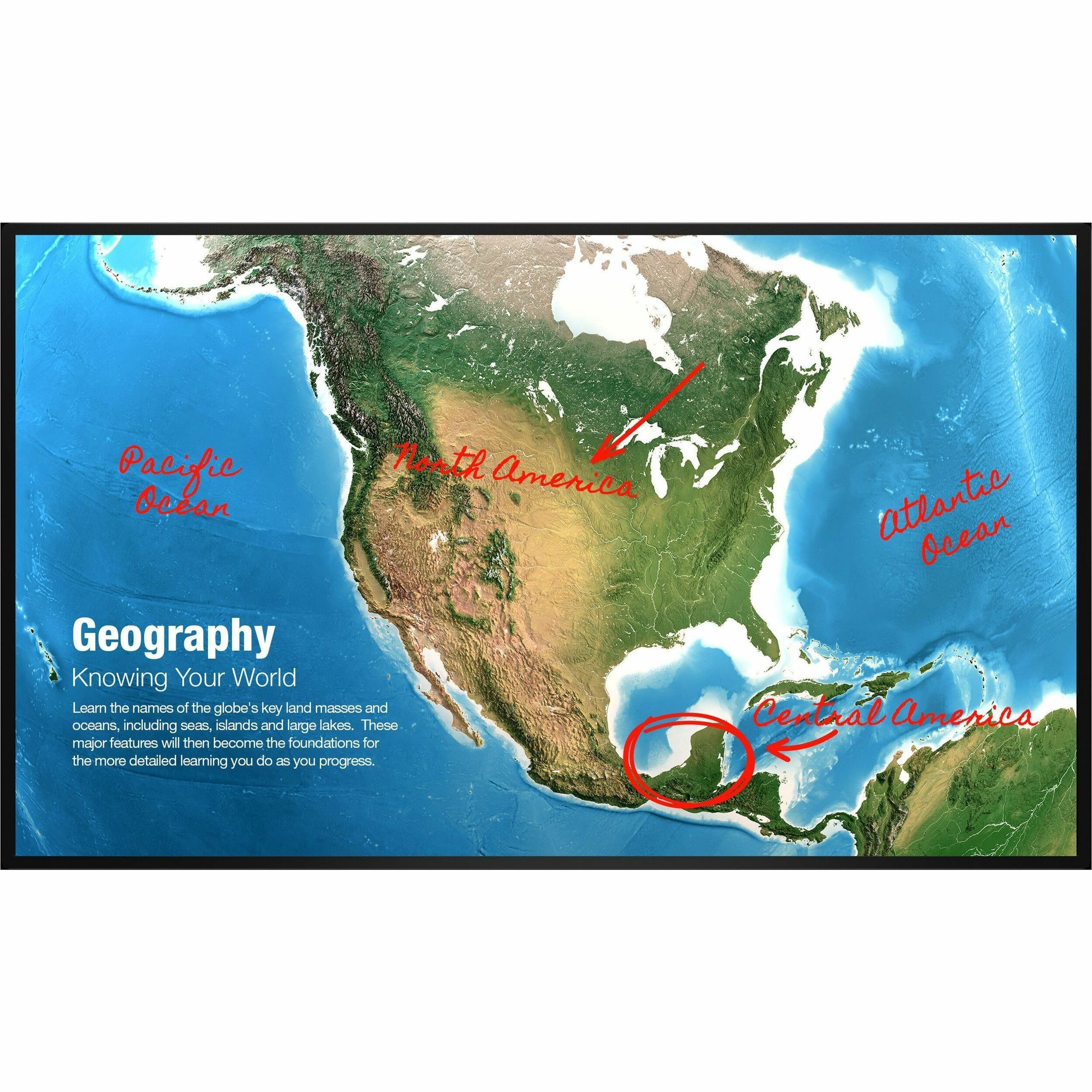 Sharp NEC Display AQUOS BOARD 4W-B55FT5U Collaboration Display