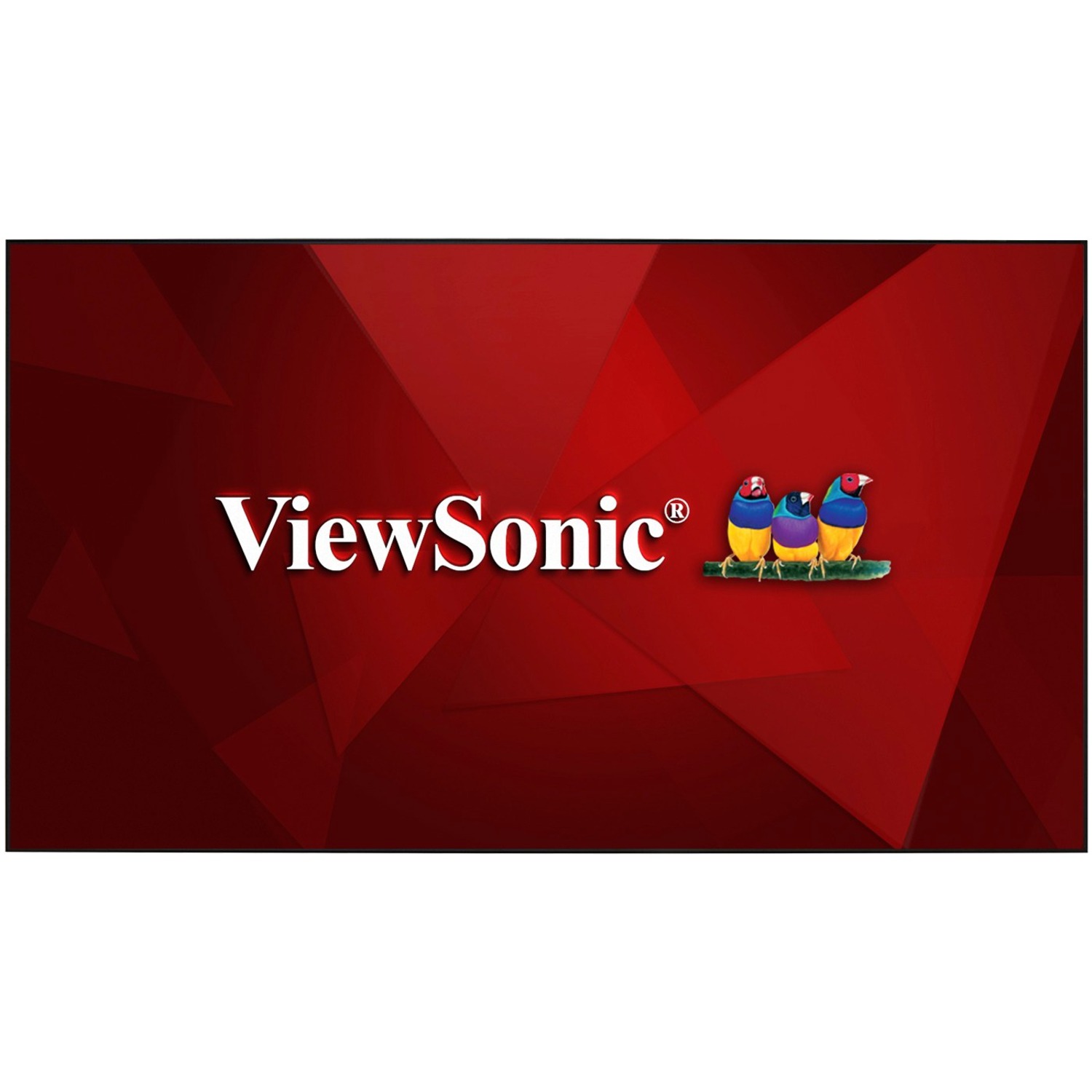 ViewSonic BCP100 100-Inch Home Theater Screen for Ultra Short Throw Projectors