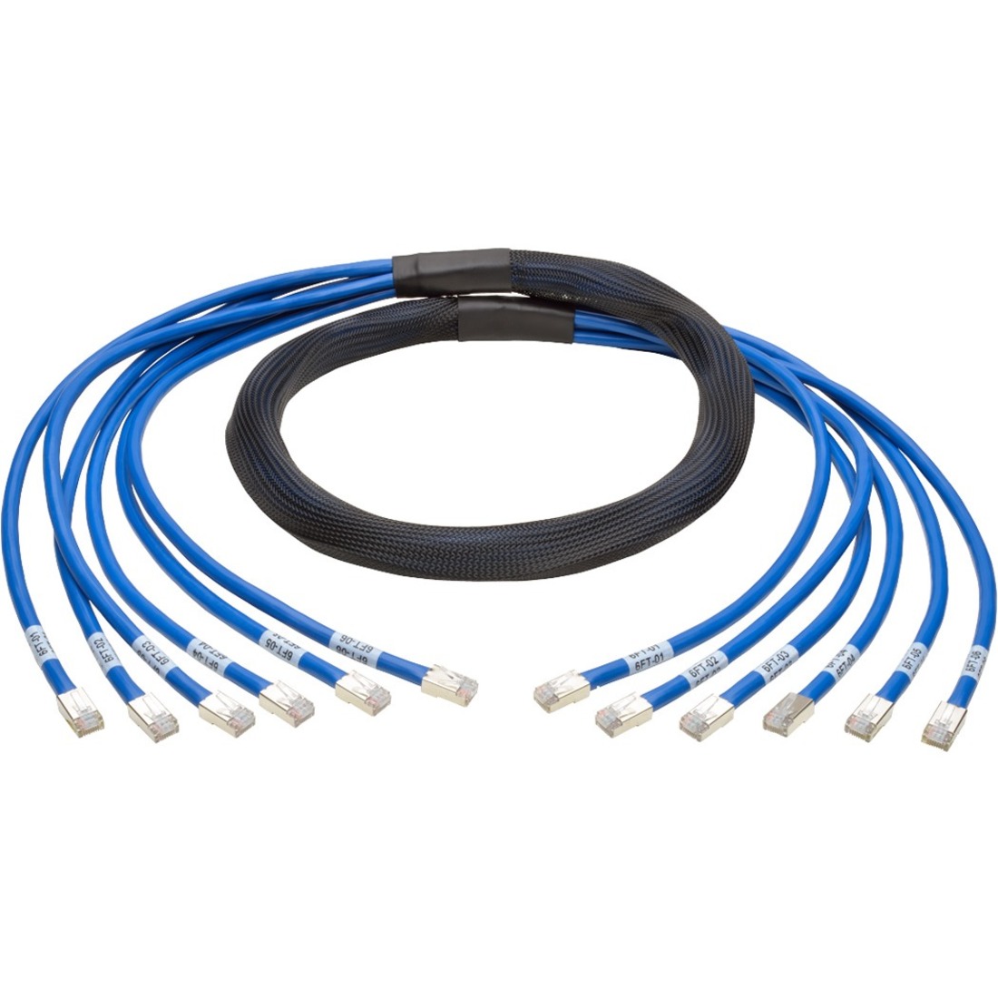 Tripp Lite by Eaton Cat6a 10G Pre-Terminated Copper Trunk Assembly (6x RJ45 M/M) Blue 6 ft. (1.83 m)