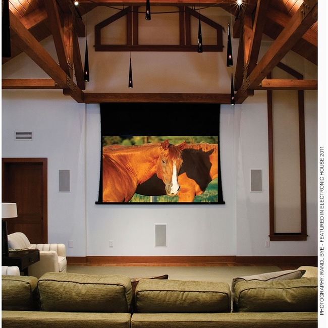 Draper Access V 133" Projection Screen