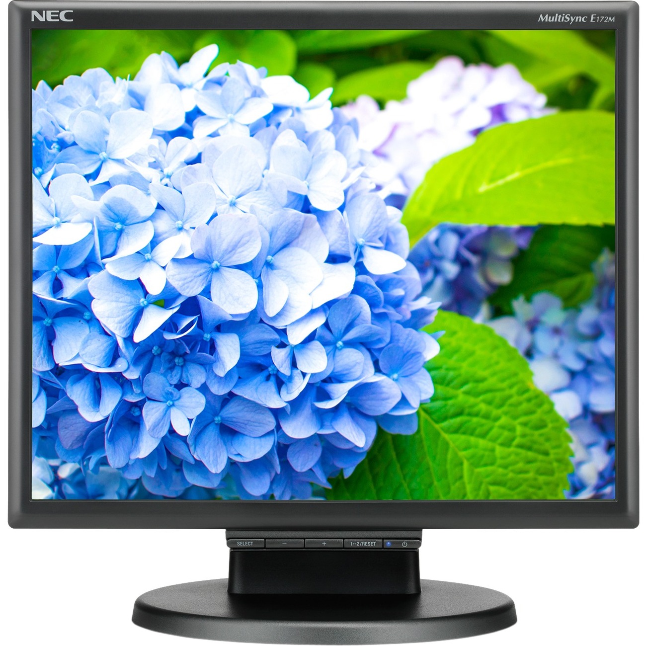 NEC Display E172M-BK 17" Class SXGA LCD Monitor - 5:4 - Black