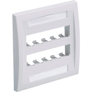 Panduit Executive CFPE10WH-2GY Faceplate