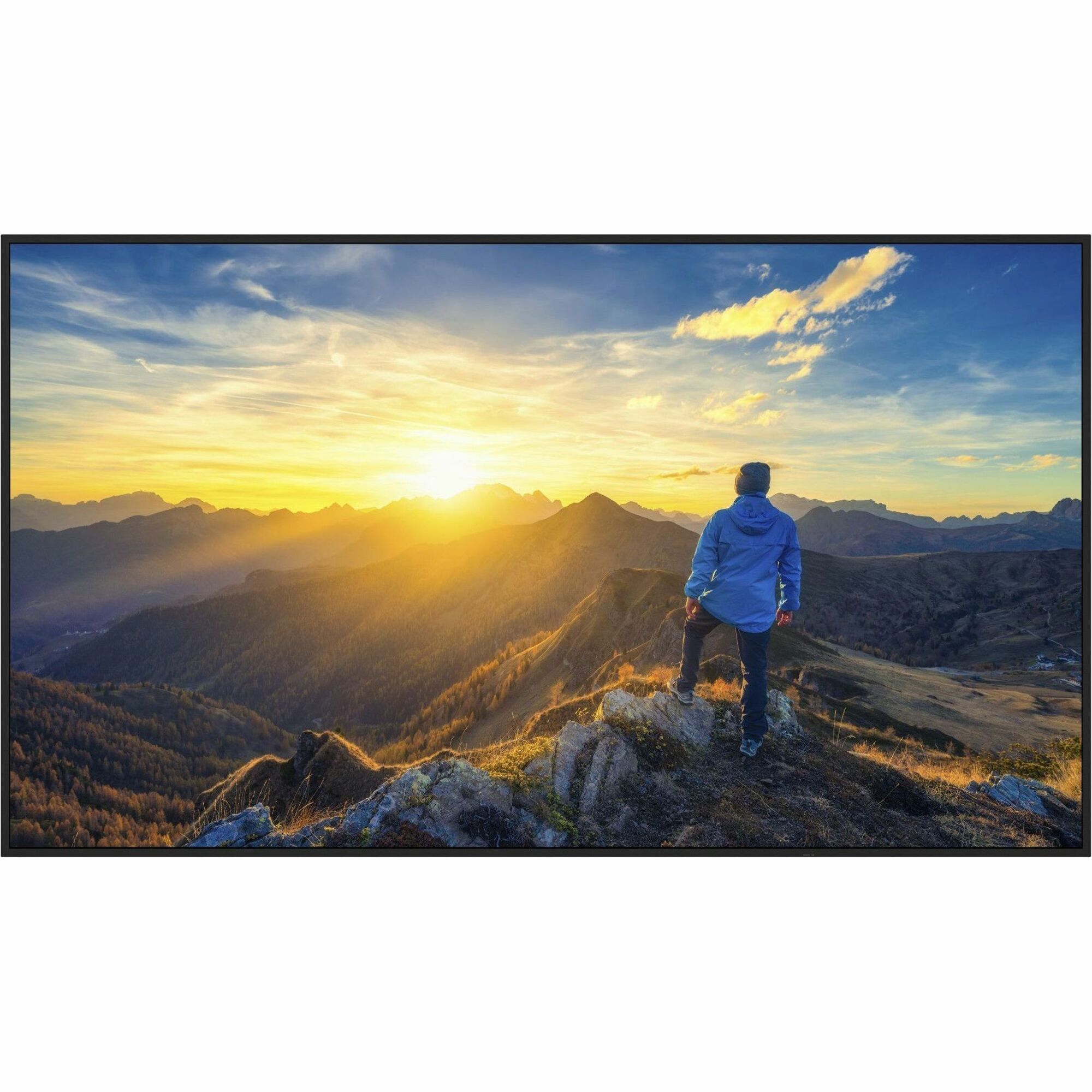 Sharp PN-E329 32" Full HD Professional Display