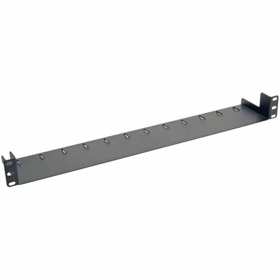 Tripp Lite by Eaton 1U Horizontal Rack Server Cabinet Mount Cable Management Tray