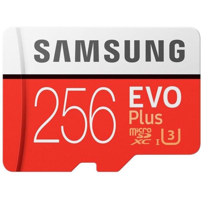 Samsung EVO Plus 256 GB Class 10/UHS-I (U3) microSDXC - 1