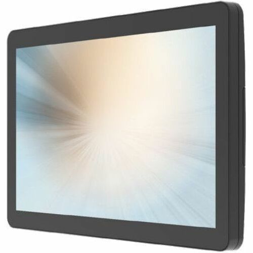 MicroTouch Desktop DT-100P-A1 10" Class LCD Touchscreen Monitor - 16:10