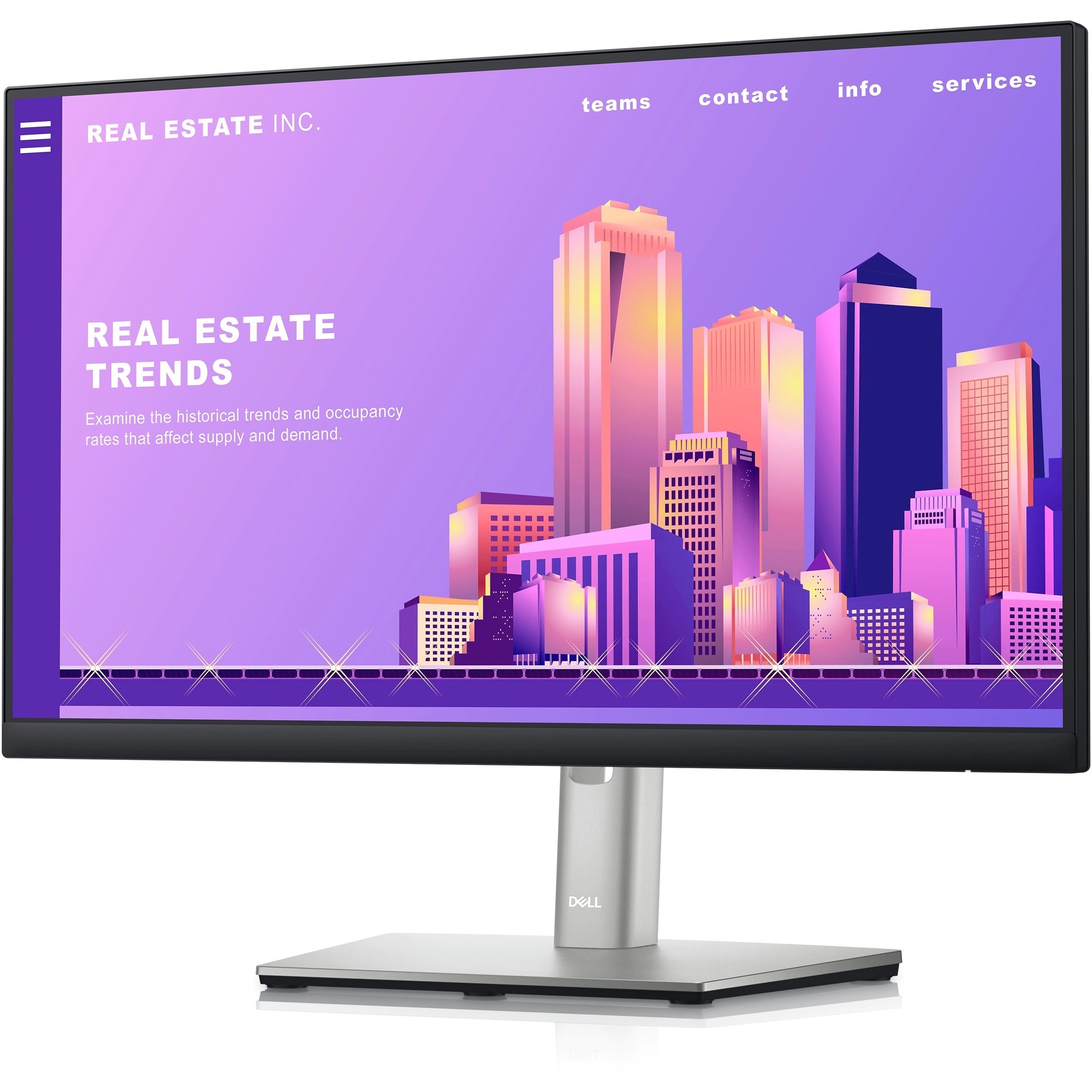 DELL SOURCING - NEW P2422H 24" Class Full HD LED Monitor - 16:9