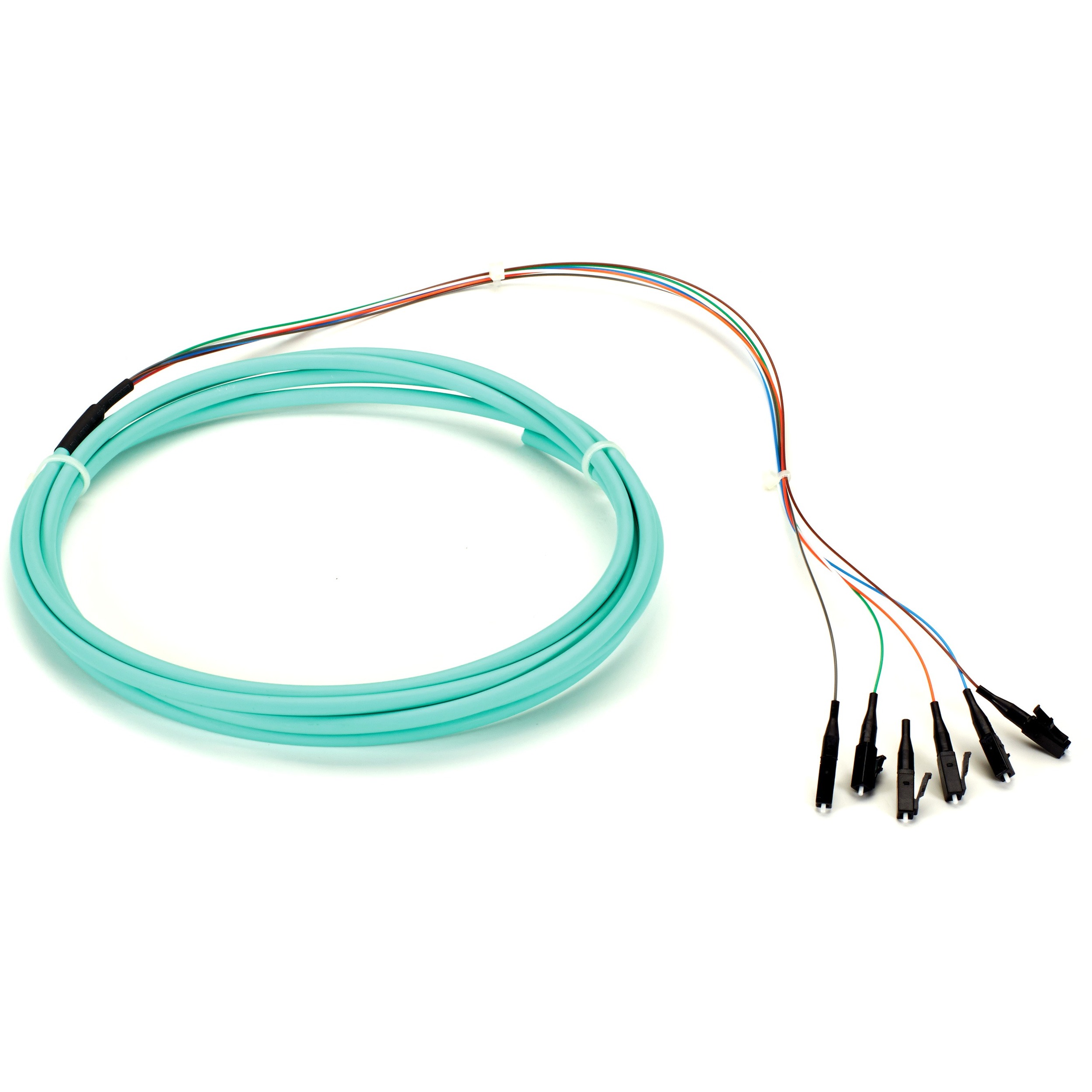 Black Box 3m LC OM3 50-Micron MM Fiber Pigtail 12-Strand OFNR PVC Aqua