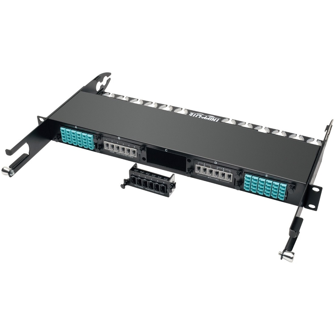 Tripp Lite by Eaton 100Gb/120Gb Pass-Through Cassette - (x6) 24-Fiber MTP/MPO ( Female )