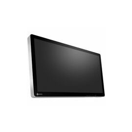 EIZO CuratOR EX3242-3D 32" Class 4K UHD LED Monitor - 16:9 - White