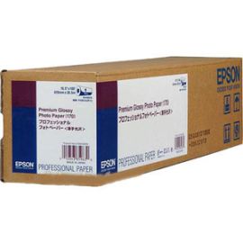 Epson Premium Glossy Photo Paper