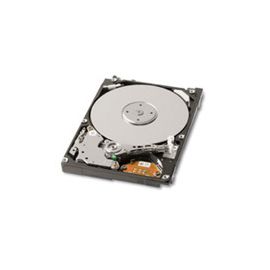 Toshiba-IMSourcing MK2546GSX 250 GB Hard Drive - 2.5" Internal - SATA (SATA/300)