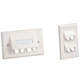 PANDUIT 4-Socket Faceplate