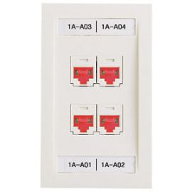 Panduit Network Faceplate