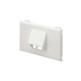 Panduit Pan-Way Classic 1 Gang 2 Socket Snap-on Faceplate