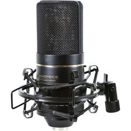 LARGE DIAPHRAGM CONDENSER MICROPHONE