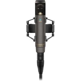 Sennheiser MKH 800 TWIN Wired Electret Condenser Microphone - Black