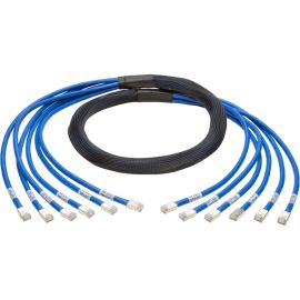 Eaton Tripp Lite Series Cat6a 10G Pre-Terminated Copper Trunk Assembly (6x RJ45 M/M), Blue, 10 ft. (3.05 m)