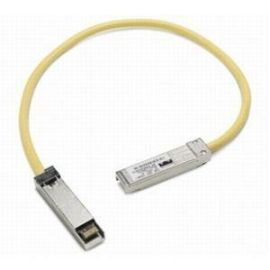 Cisco Interconnect Cable