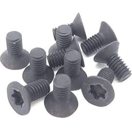 2N Torx Screw