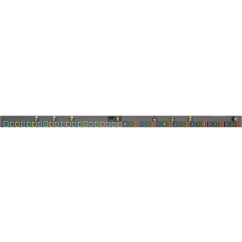 Geist rPDU MN03E5W1-42PZ63-3TL56A0A10-S-A 42-Outlets PDU