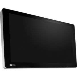 EIZO CuratOR EX3141-3D 31