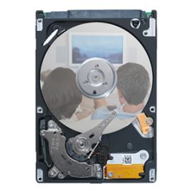 Seagate-IMSourcing Pipeline HD Mini ST9250311CS 250 GB Hard Drive - 3.5" Internal - SATA (SATA/300)