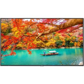 Sharp NEC Display 43