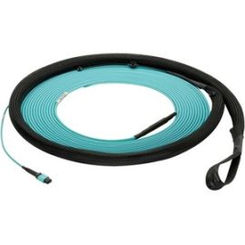 29FT OM4 12FIBIND FEMW1POL B OPTI IL PUL