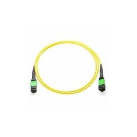 Axiom MPO Male to MPO Male Singlemode 9/125 Fiber Cable 2m - TAA Compliant