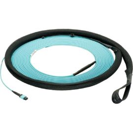 100FT OM4 12FIB IND S DIAM TRNK FEM OPT