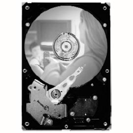 SEAGATE 1TB SATA 3GB/S 7.2K RPM 32MB