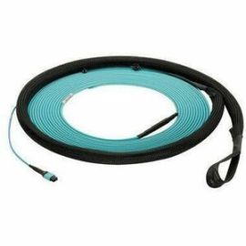 12-FIBER 100FT - PANMPO TO PANM