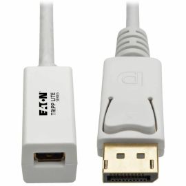 Tripp Lite by Eaton DisplayPort to Mini DisplayPort Adapter Video Converter 4K 60 Hz (M/F) 6 in. (15.2 cm)