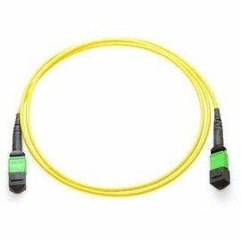 Axiom MPO Female to MPO Female Singlemode 9/125 Fiber Cable 12m - TAA Compliant