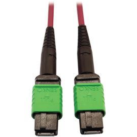 Eaton Tripp Lite Series 400G Multimode 50/125 OM4 Plenum-Rated Fiber Optic Cable, 16F MTP/MPO-APC (F/F), Magenta, 3 m