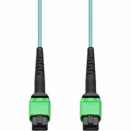 5M AMPO F/F AQUA OM4 OFNR-RISER FIBER PATCH CABLE