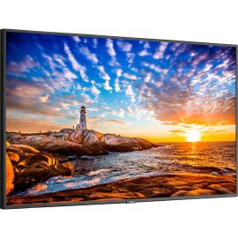 Sharp NEC Display 55
