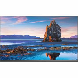 Sharp NEC Display 220