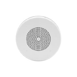 ONE-WAY, AMPLIFIED DUAL-INPUT  8-INCH C