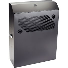 Black Box Low-Profile Vertical Wallmount Cabinet - 4U, 24