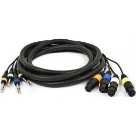 CHANNEL-4TRS M TO XLR F SNAKE CABLE 10FT