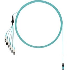 2M OM4 12 FIBER RND HARNESS CBL LSZH