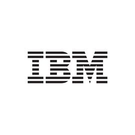 IBM 300GB 10K 2.5-INCH 1YR IMS WARRANTY STANDARD